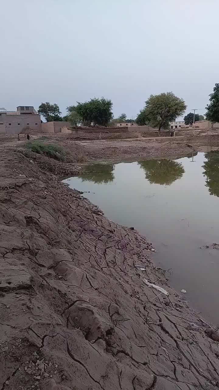 @Muhammad Sajid