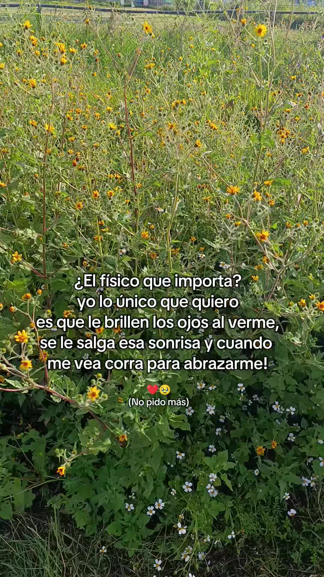 @Leslie DommWall