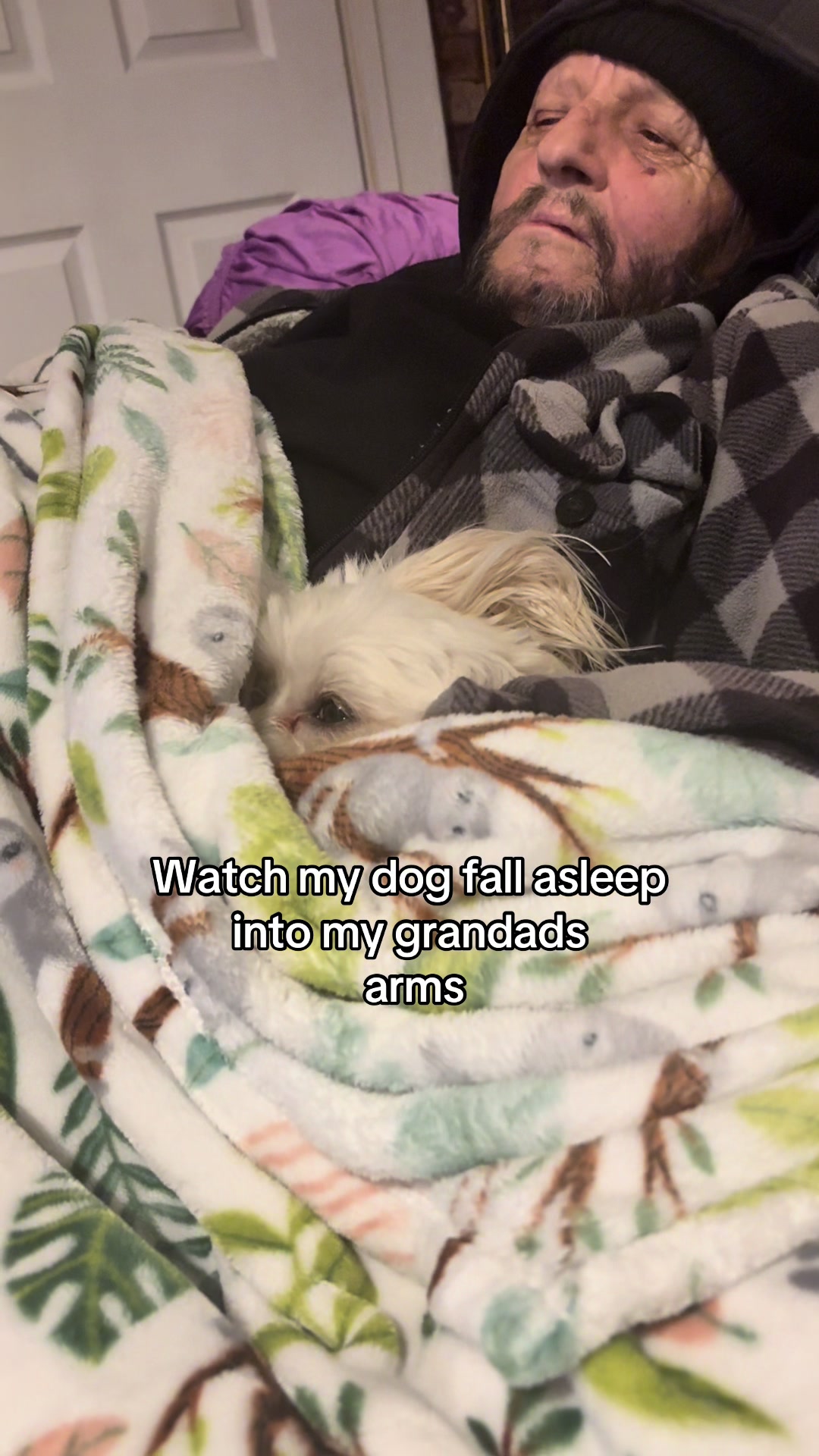 @Bella & Chitzi