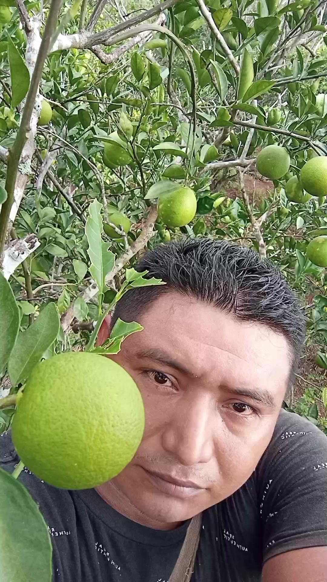 @S LEANDRO C M