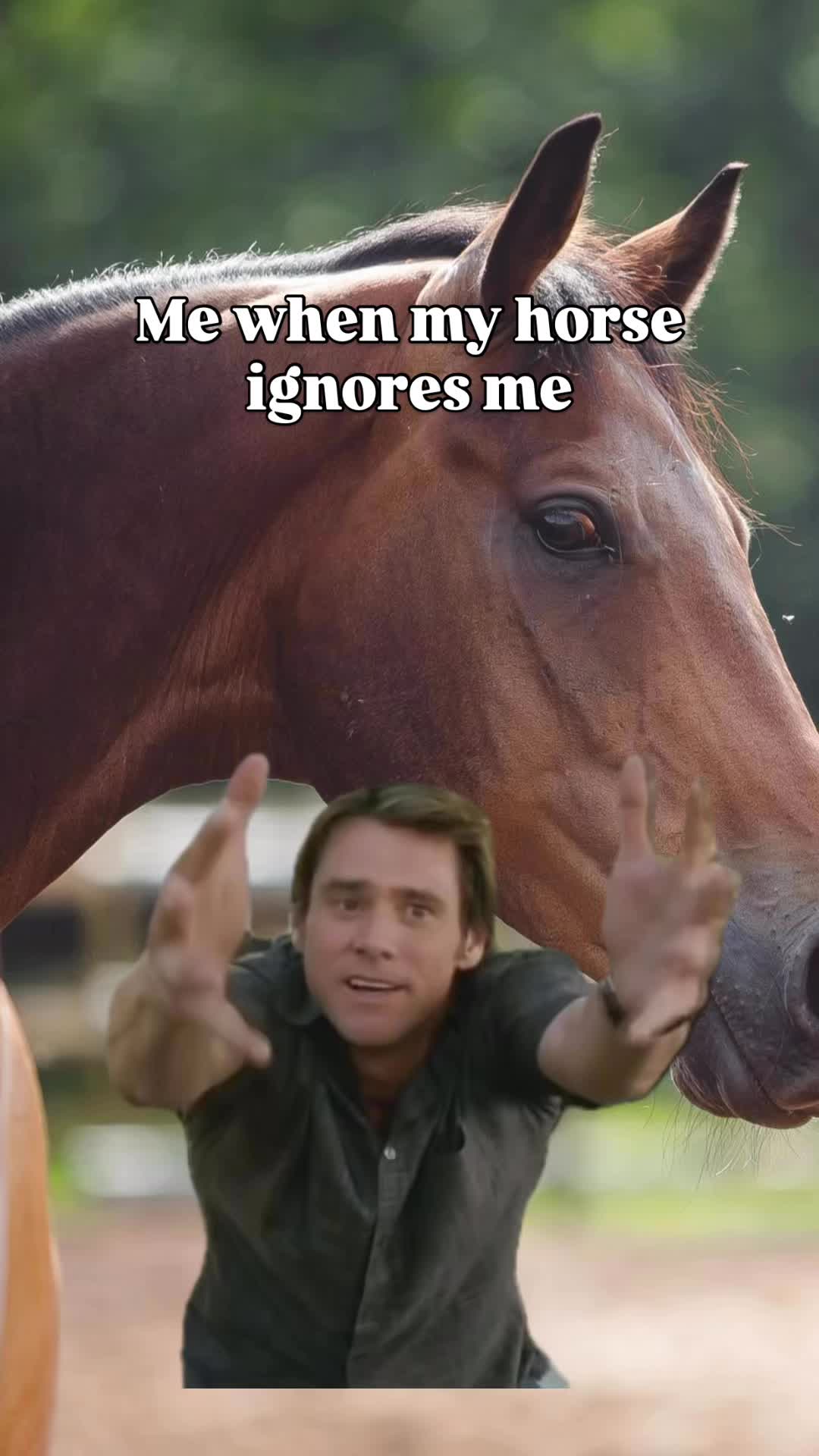 @Young Rider