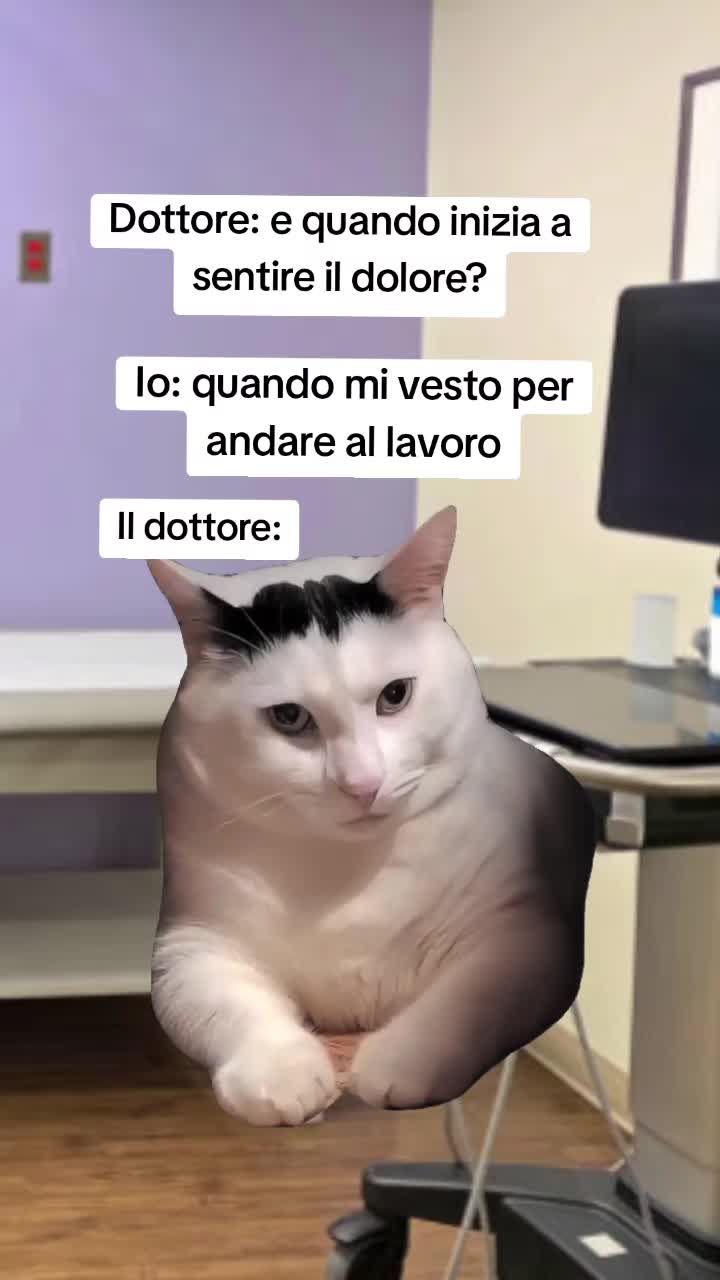 @Catzatte