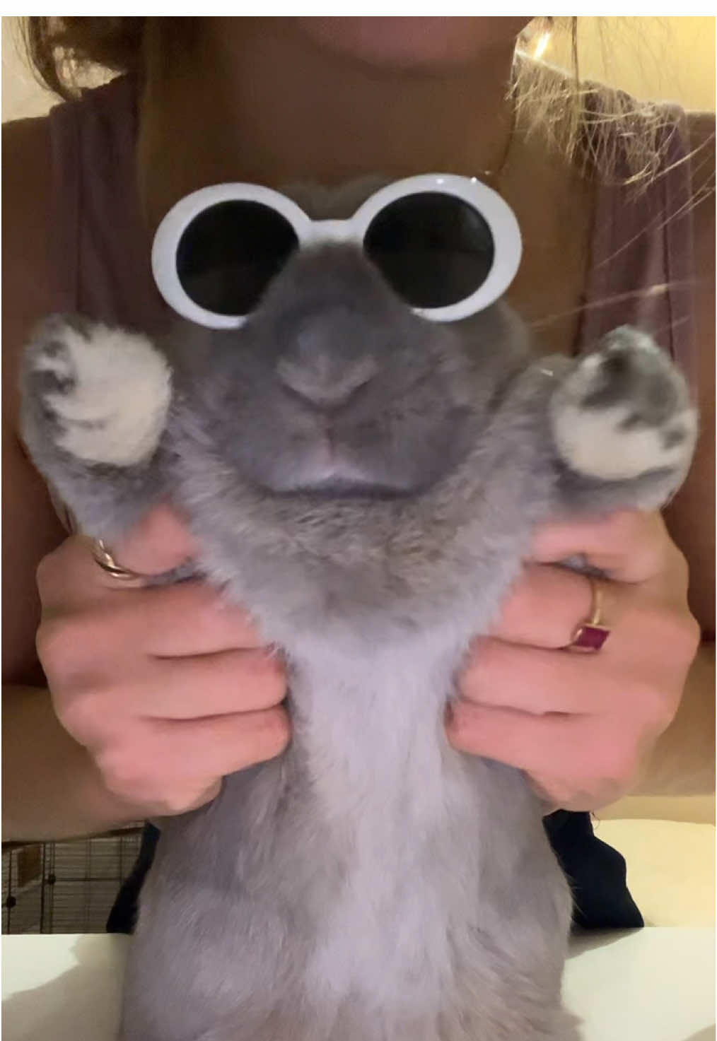 @PantoufleLapin