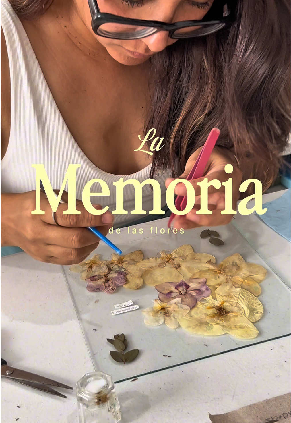 @Flora Terrenal