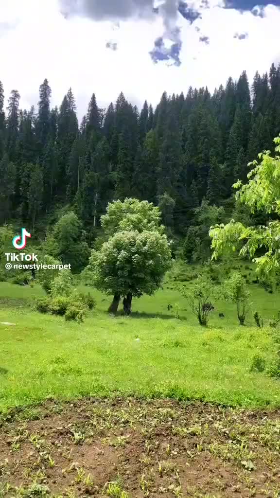 @@islamic video officiall