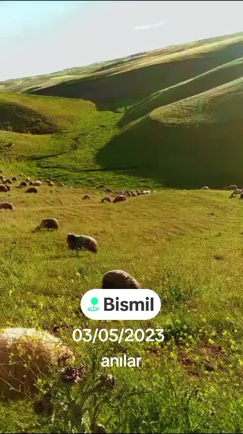 @Eyy&uuml;p Demir 72