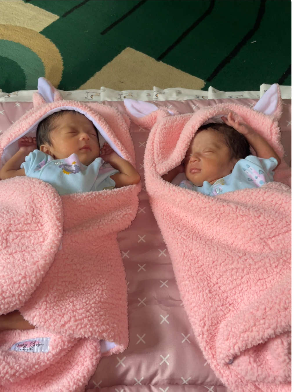 @BabyTwinsGirl🐣
