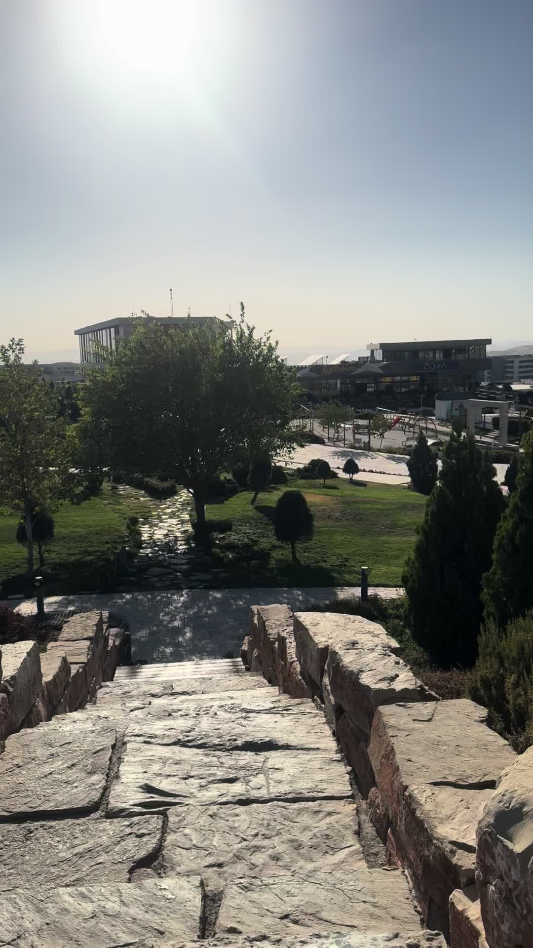 @hayda.editor