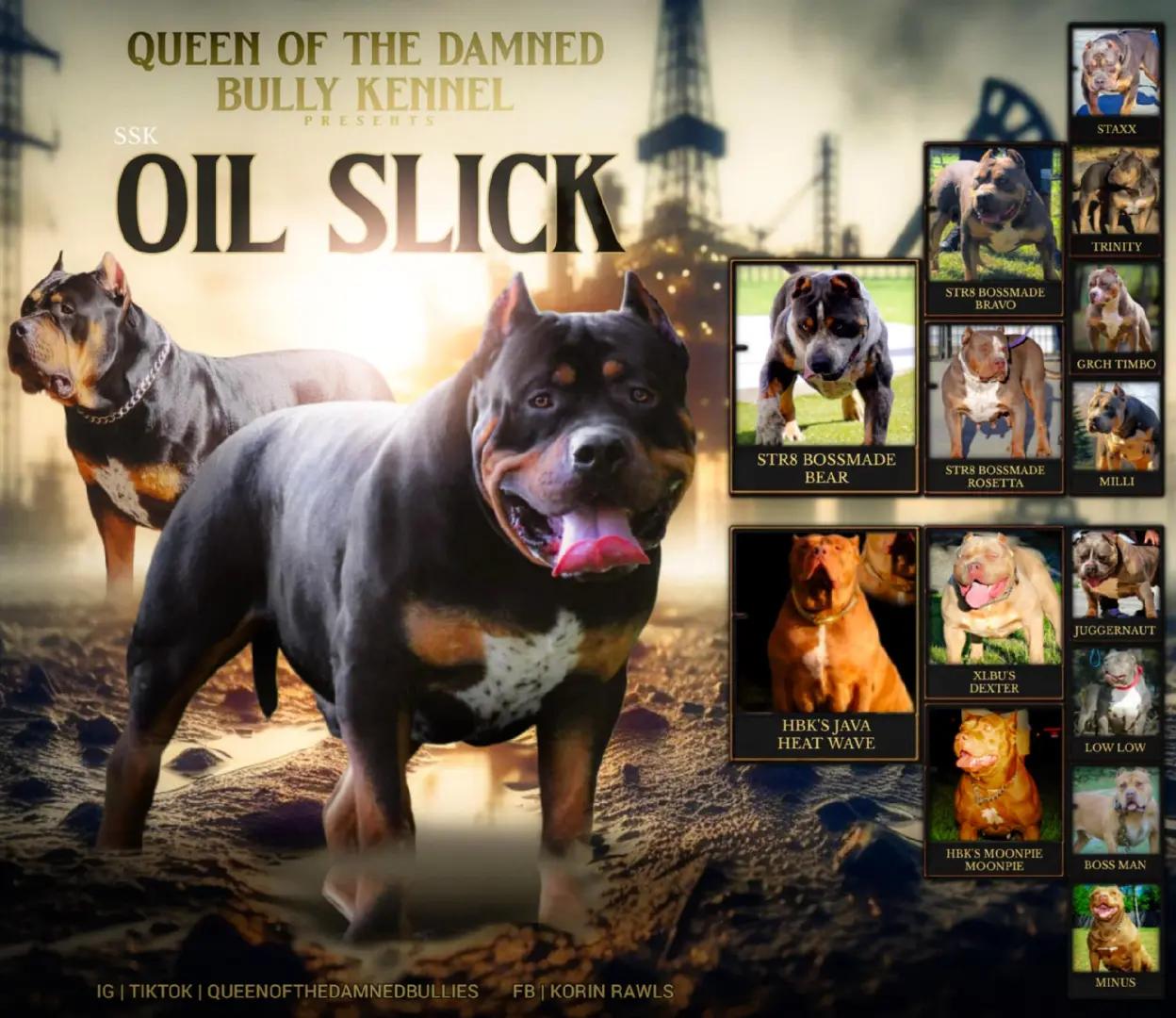 @Hera_The_Bully