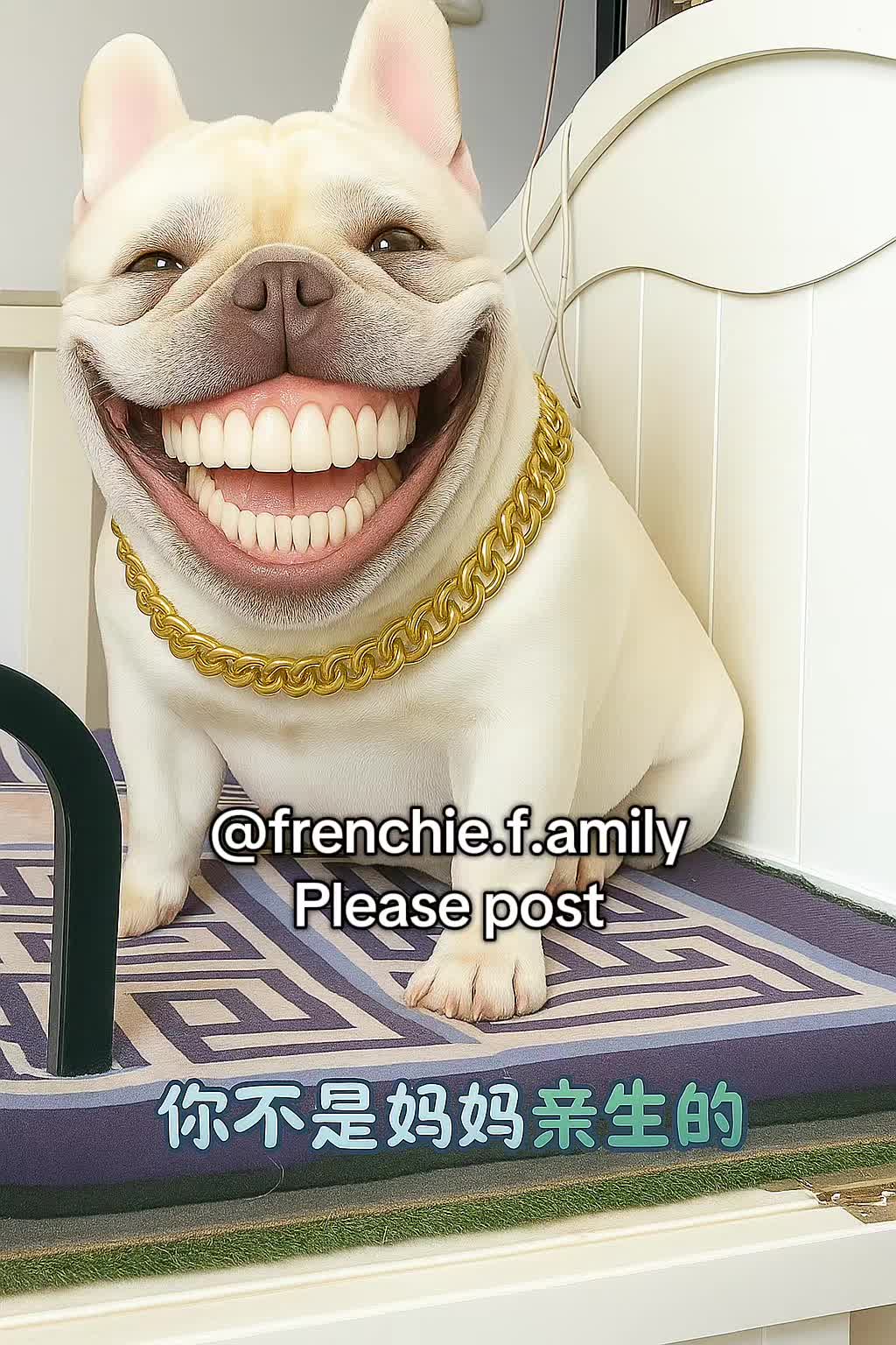 @MisterRobo