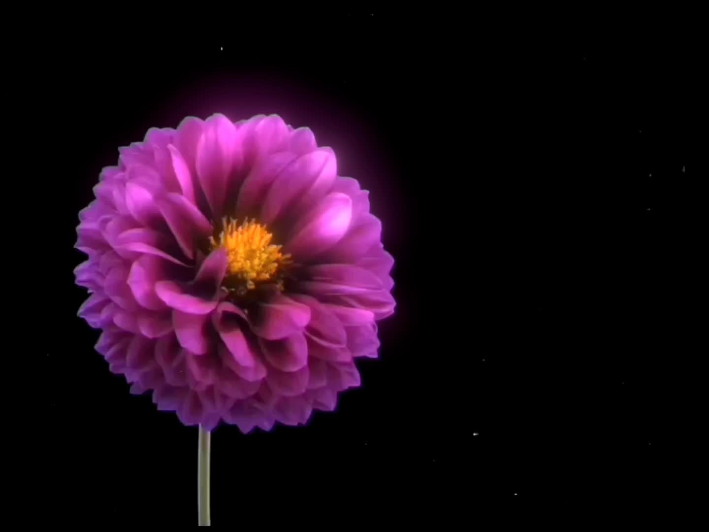 @𝐵𝑙𝑢𝑒