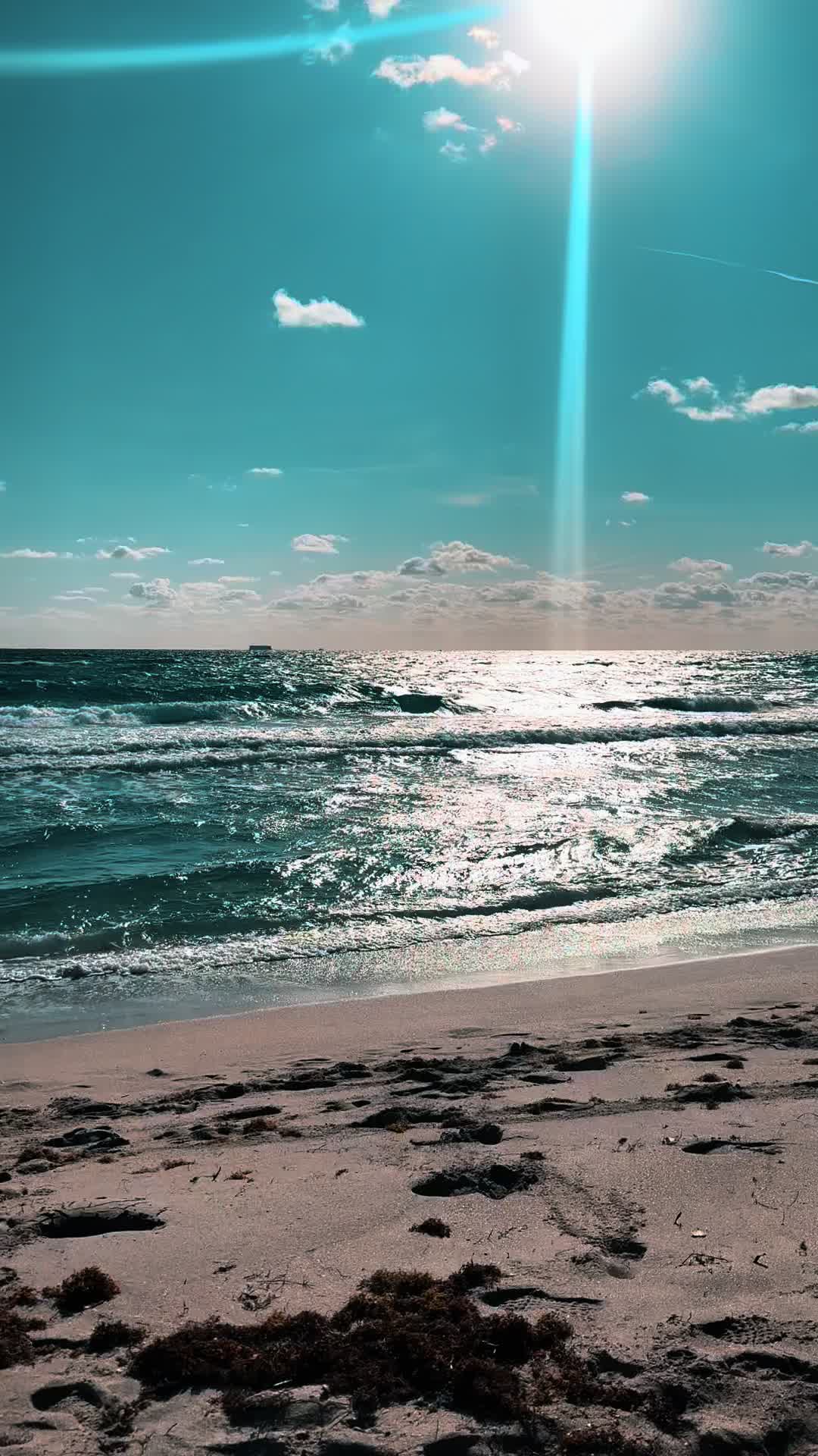 @Ocean Ghost🩵