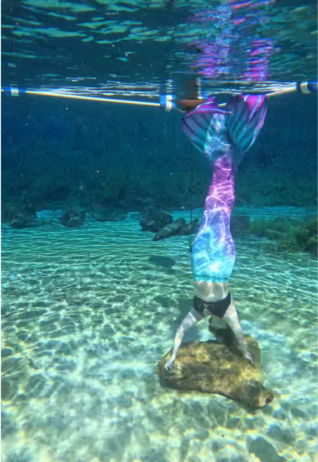 @Gulf Coast Mermaid 🧜&zwj;♀️