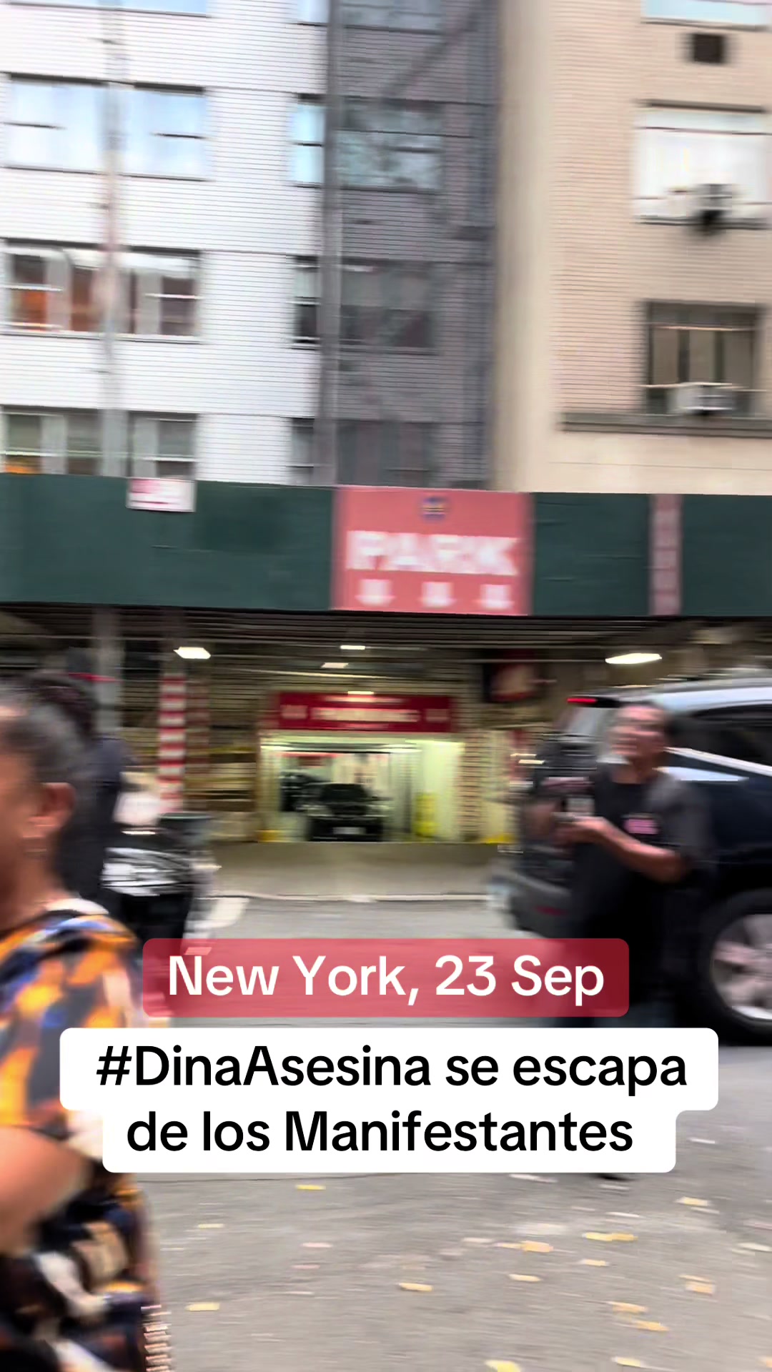 @PEXSemillasdeLibertad