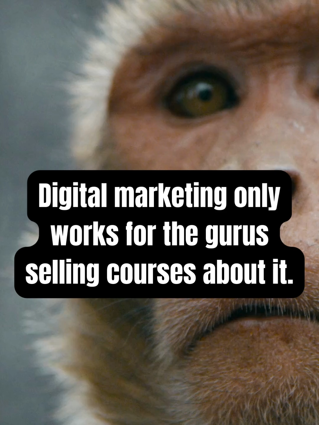 @Digital Marketing Pros ✨