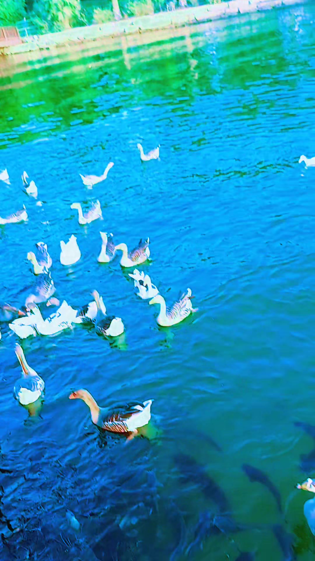 @🇹𝙖𝙢𝙧𝙖𝙞𝙯 🇰𝕙𝕒𝕟 🇵🇰