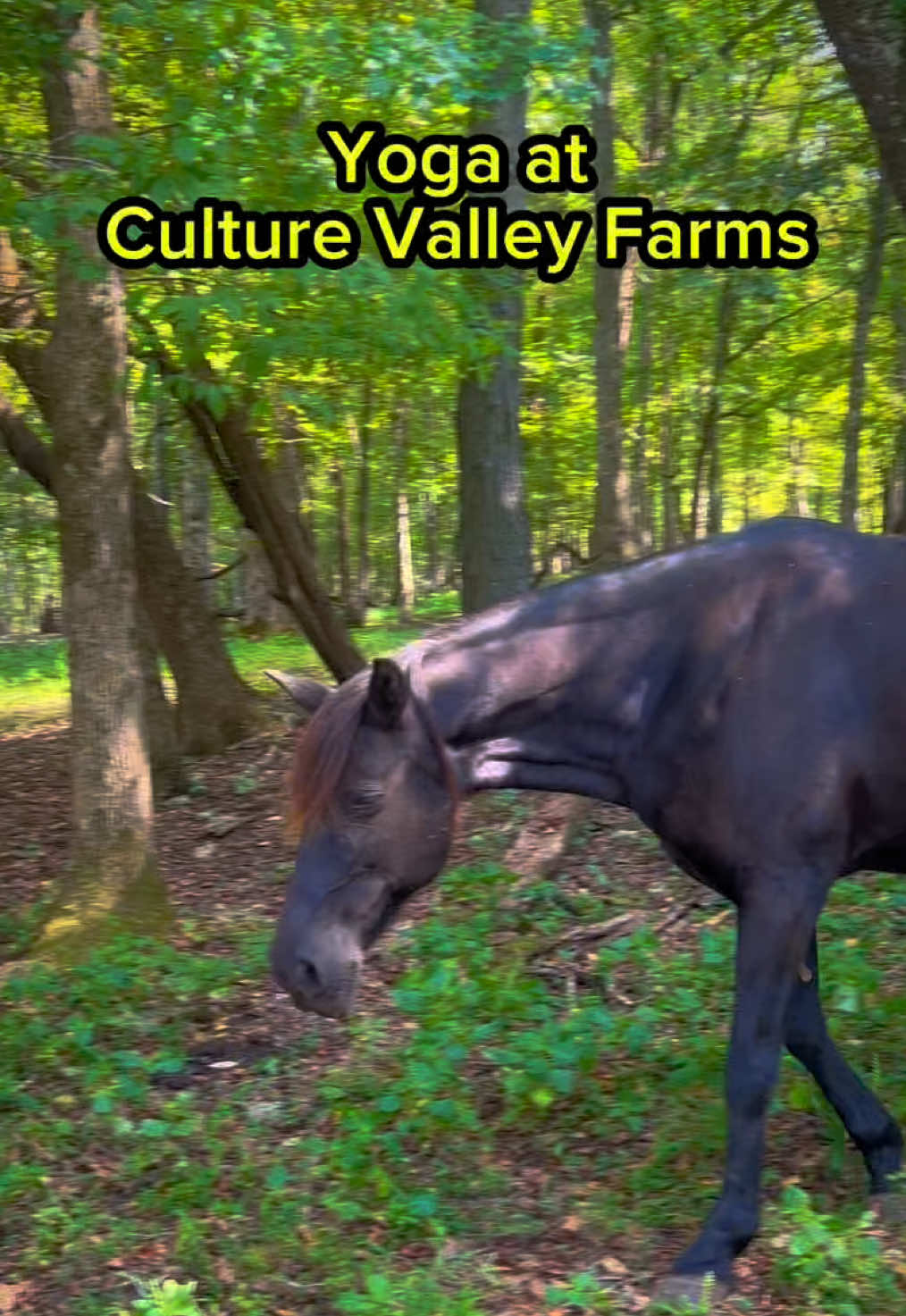 @bluacres