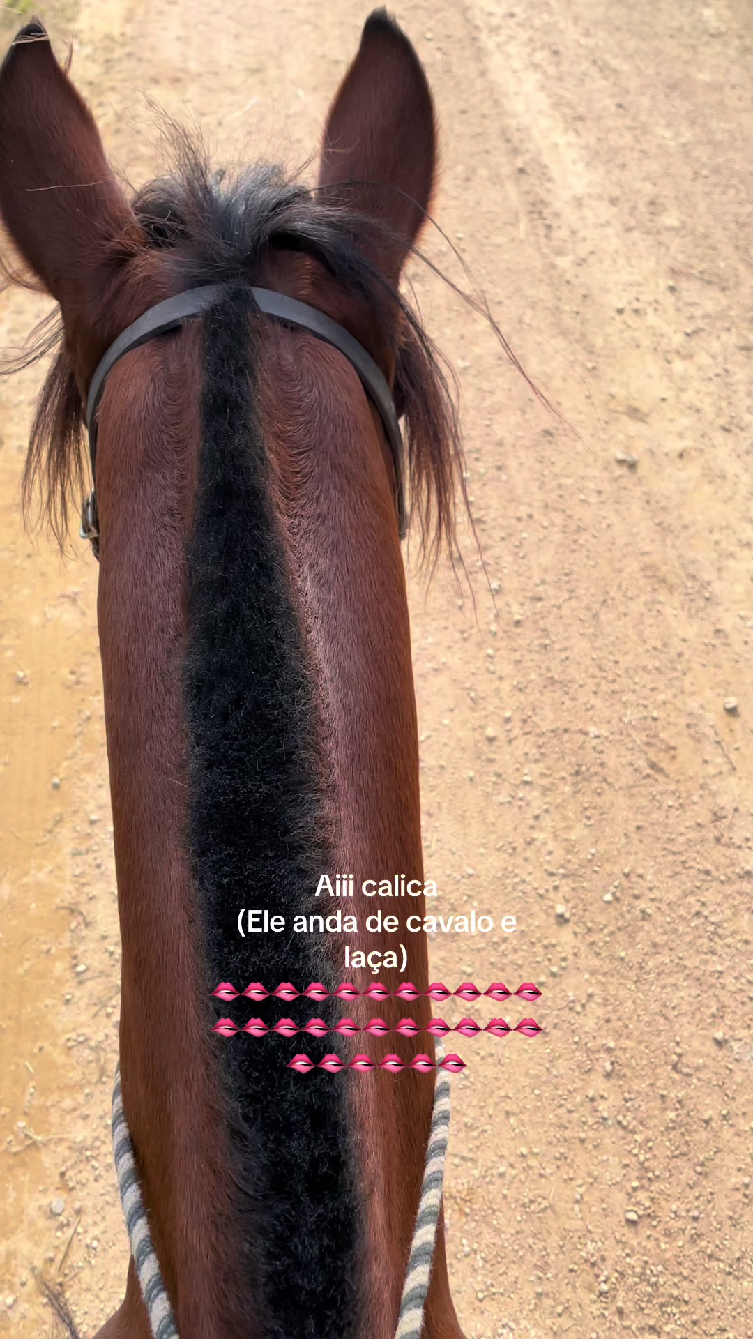 @Dona do Colorado🤎🐴