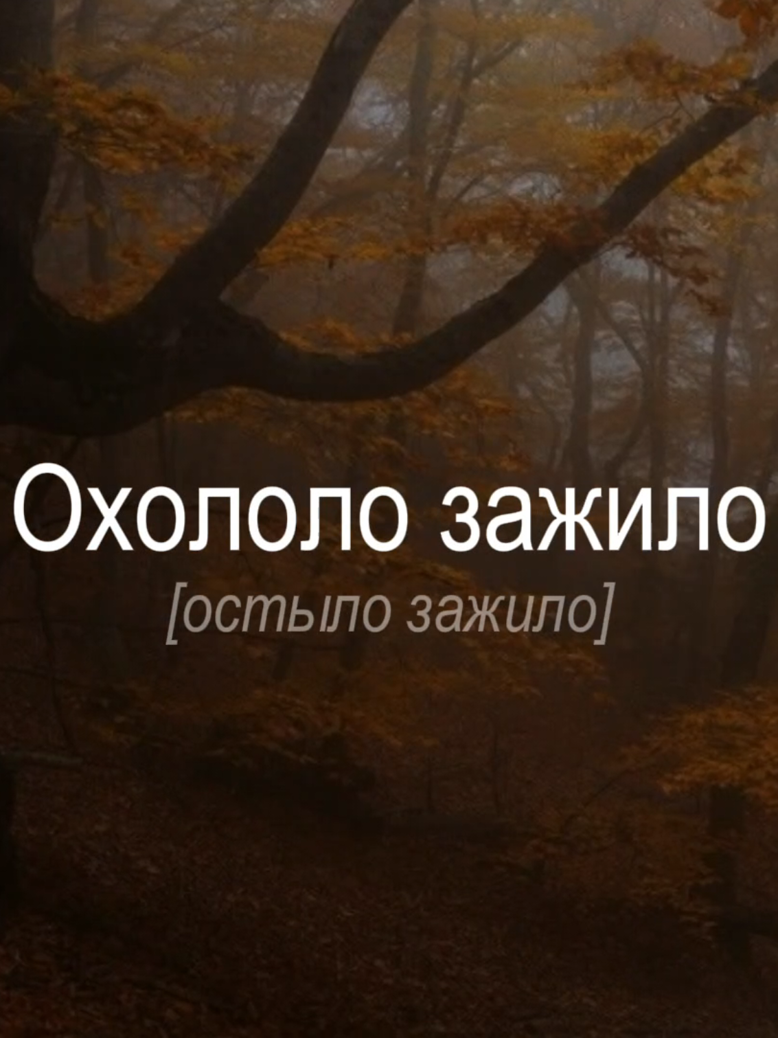 @𝘯★𝘷★𝘳𝘮𝘪𝘯𝘥