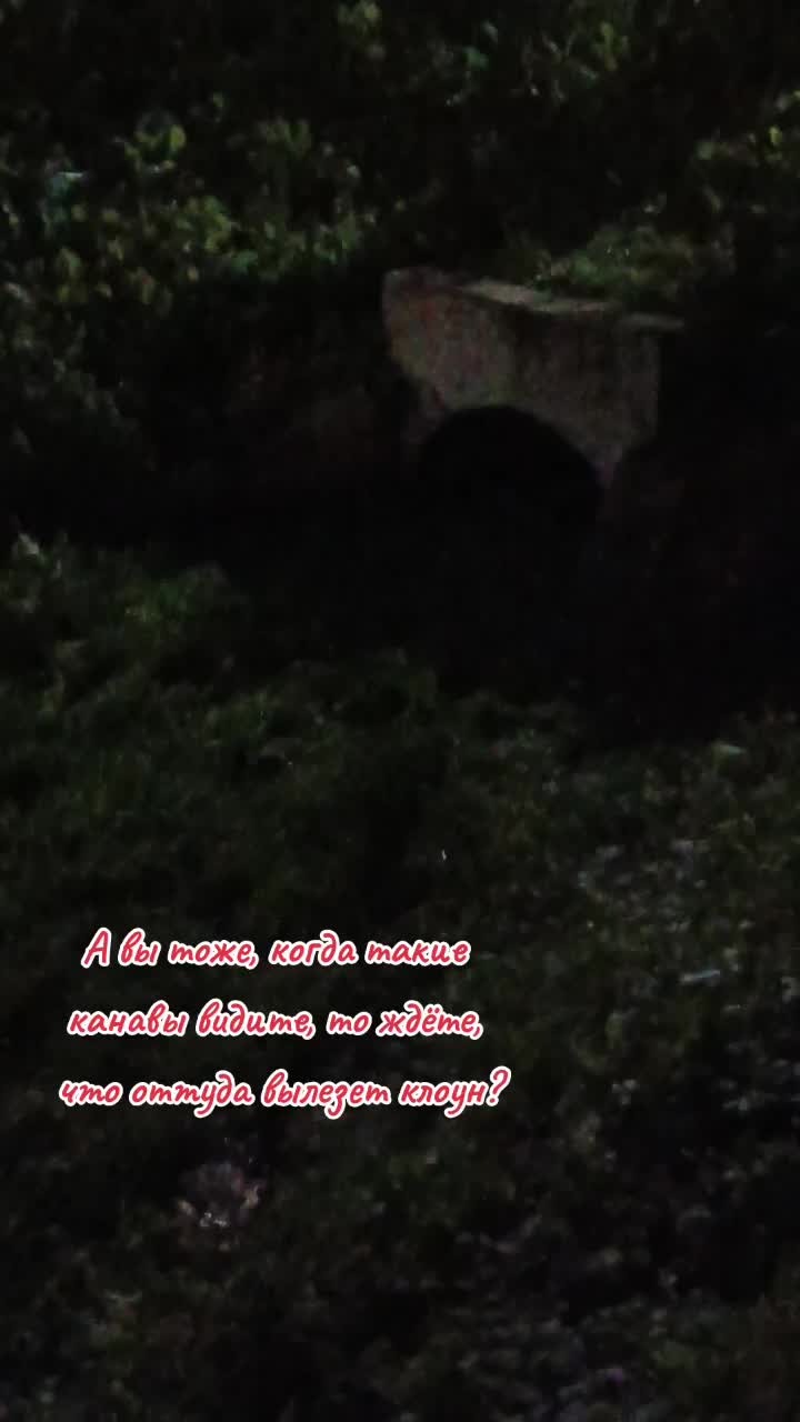 @user2278096979685