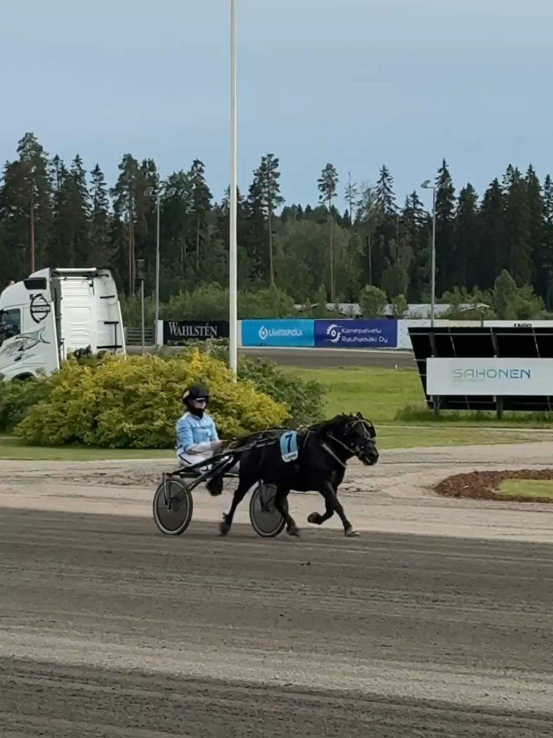 @Suomen Hippos ry