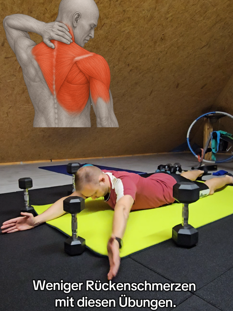 @Coachfitalex