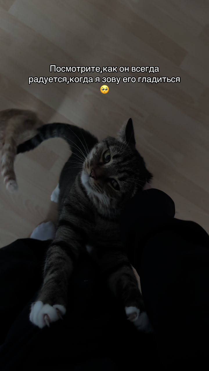 @КОША