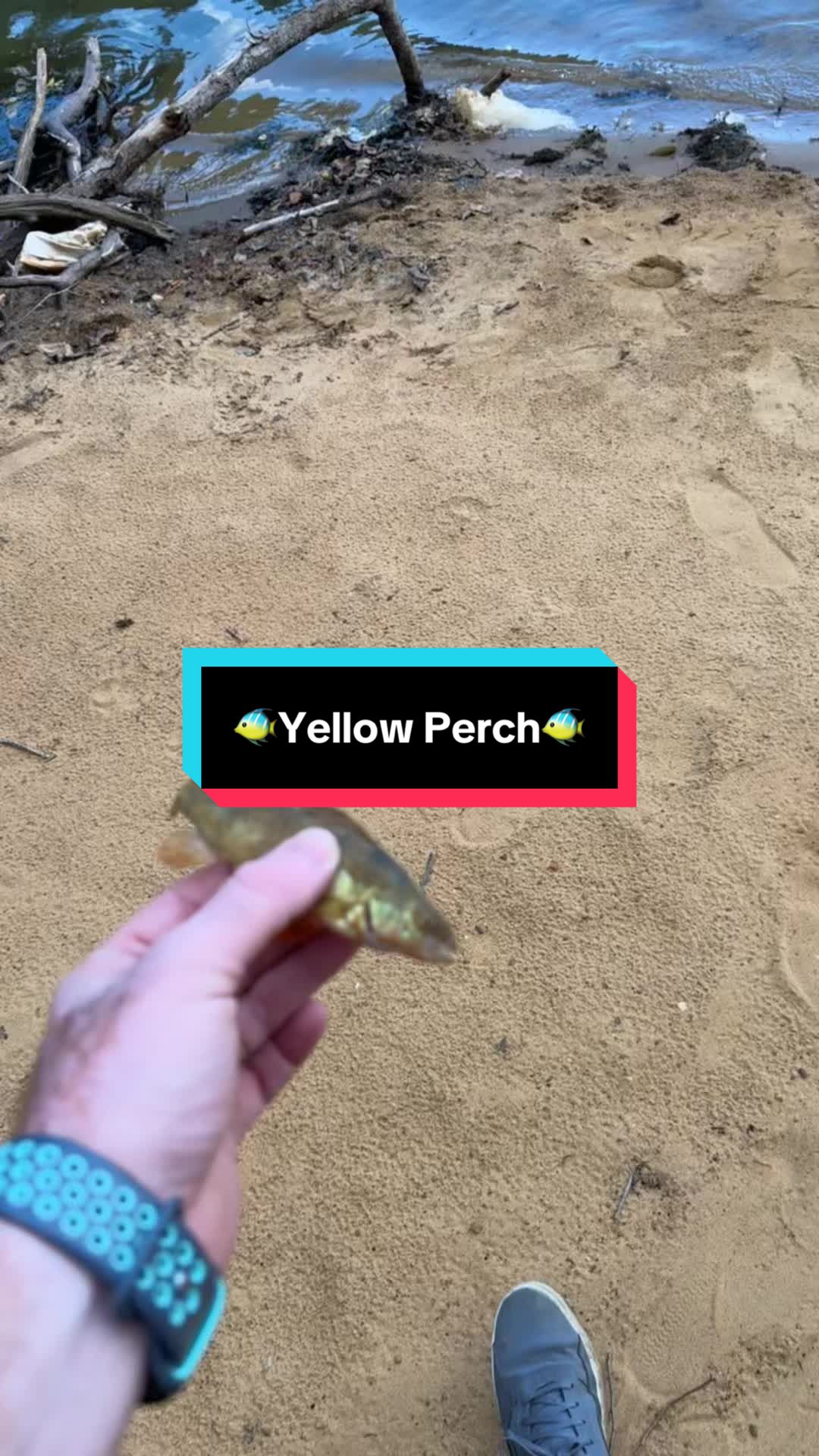 @fb1fishing