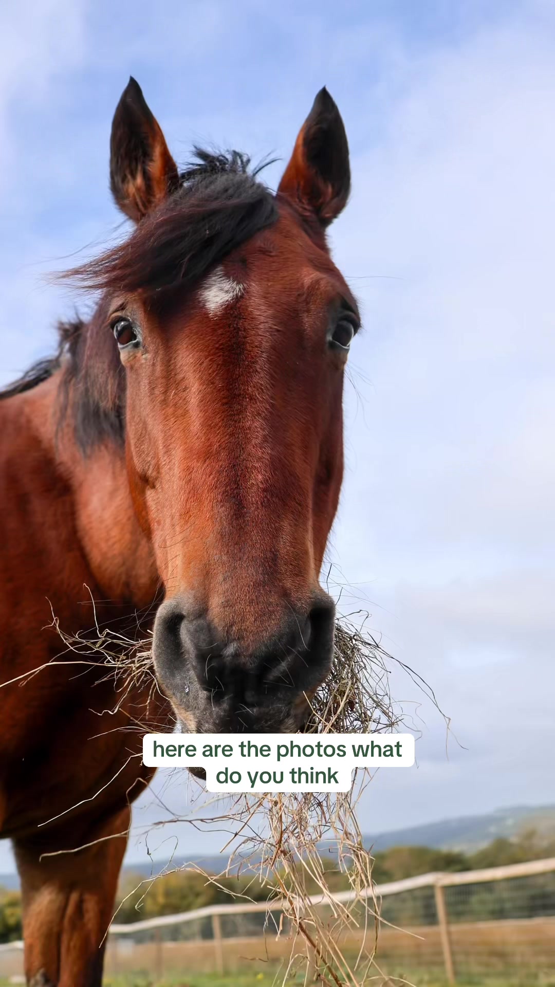 @Meg James Photography