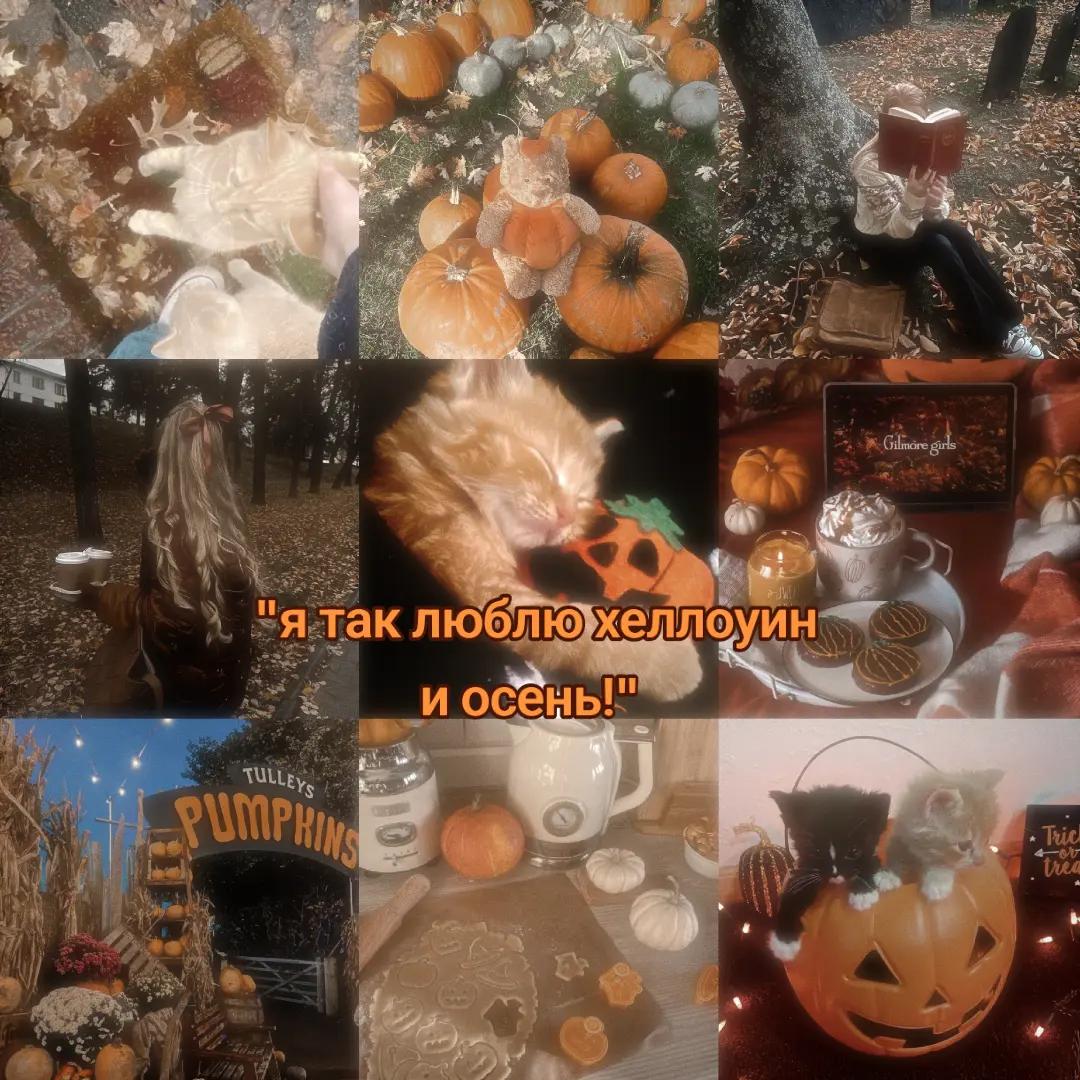 @🍂𝂅๋ꧦ۪nely🦦☆:𝂅๋ ꧦ۪ ׂ