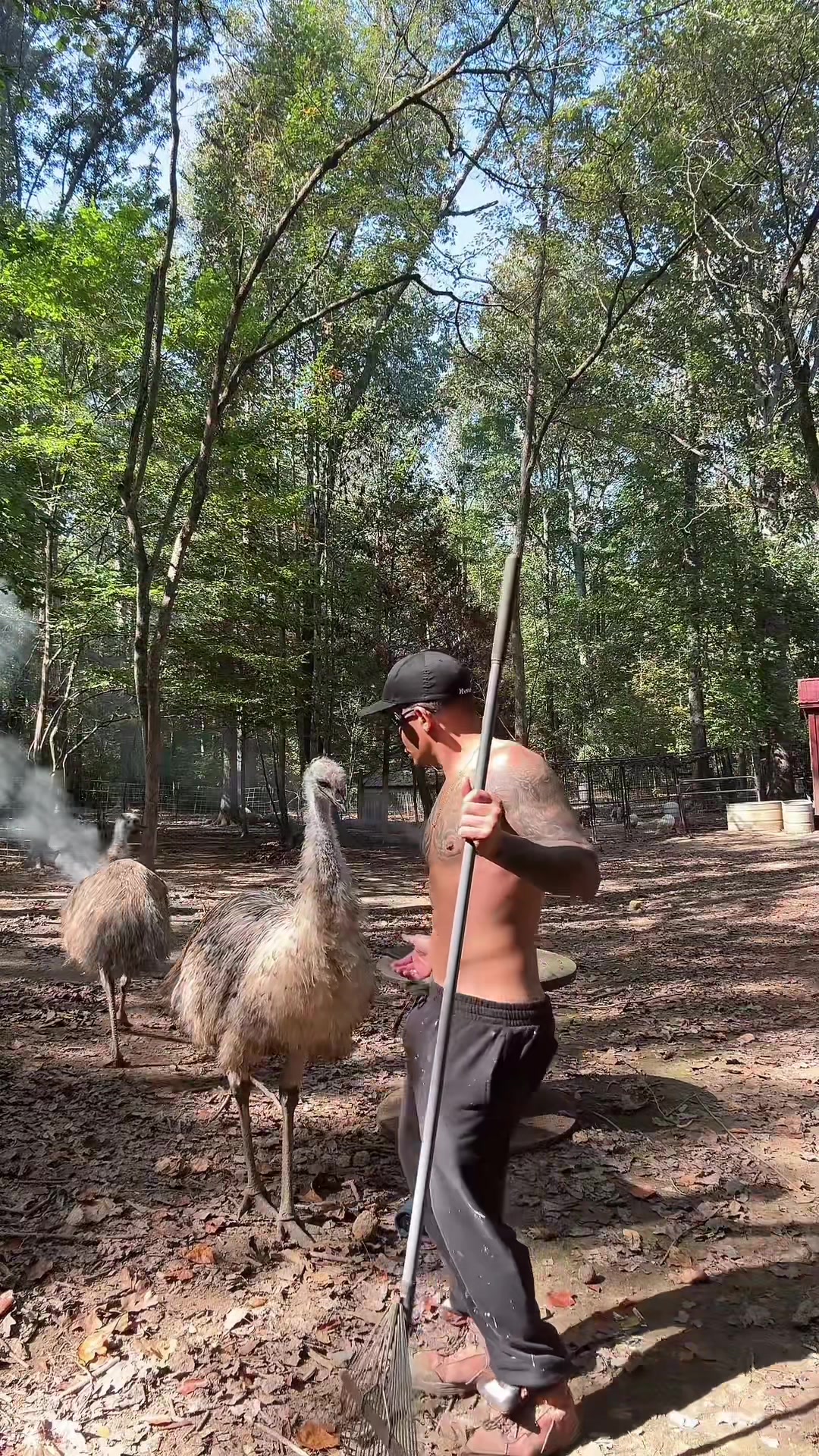 @👨&zwj;🌾Frank Martinez🧑&zwj;🌾🦊🩵💛