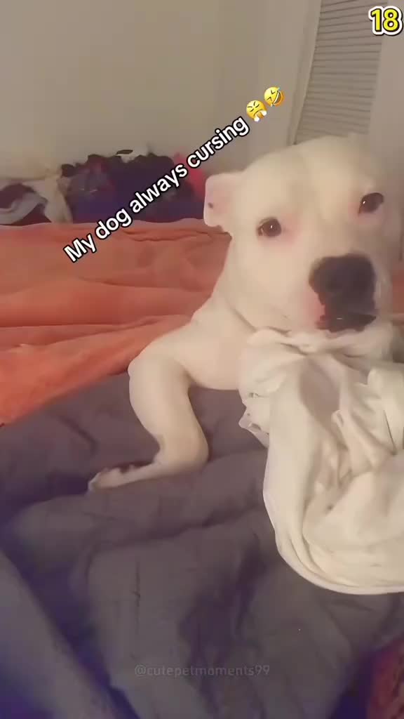 @sillyhop216