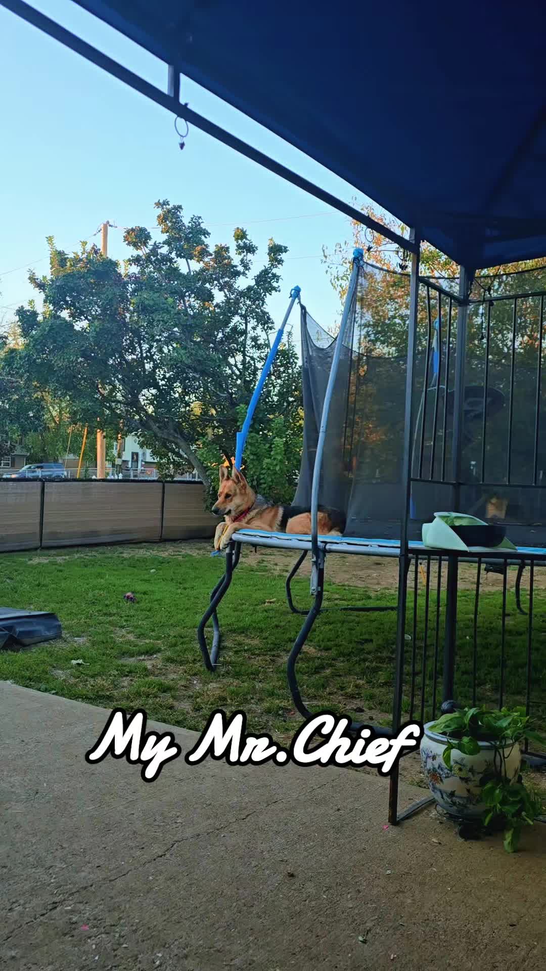 @Mr.Chief&Nova