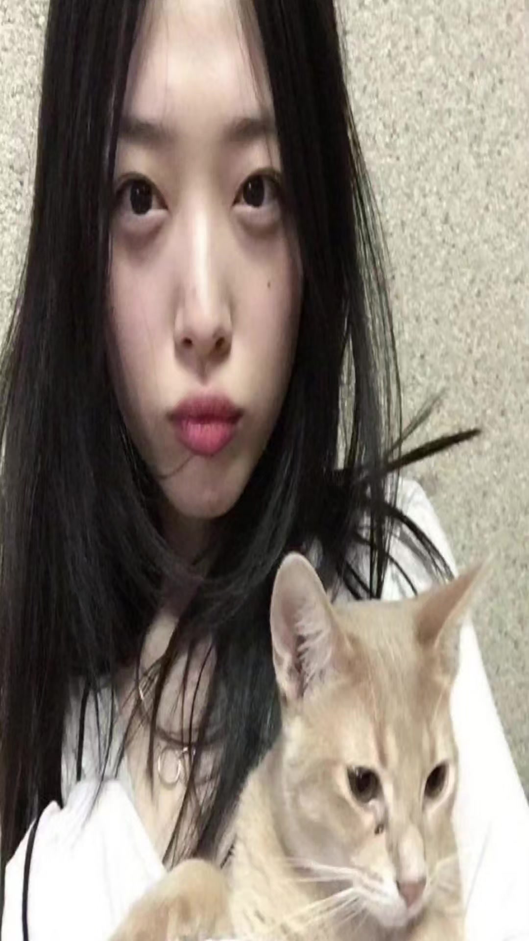 @aeri