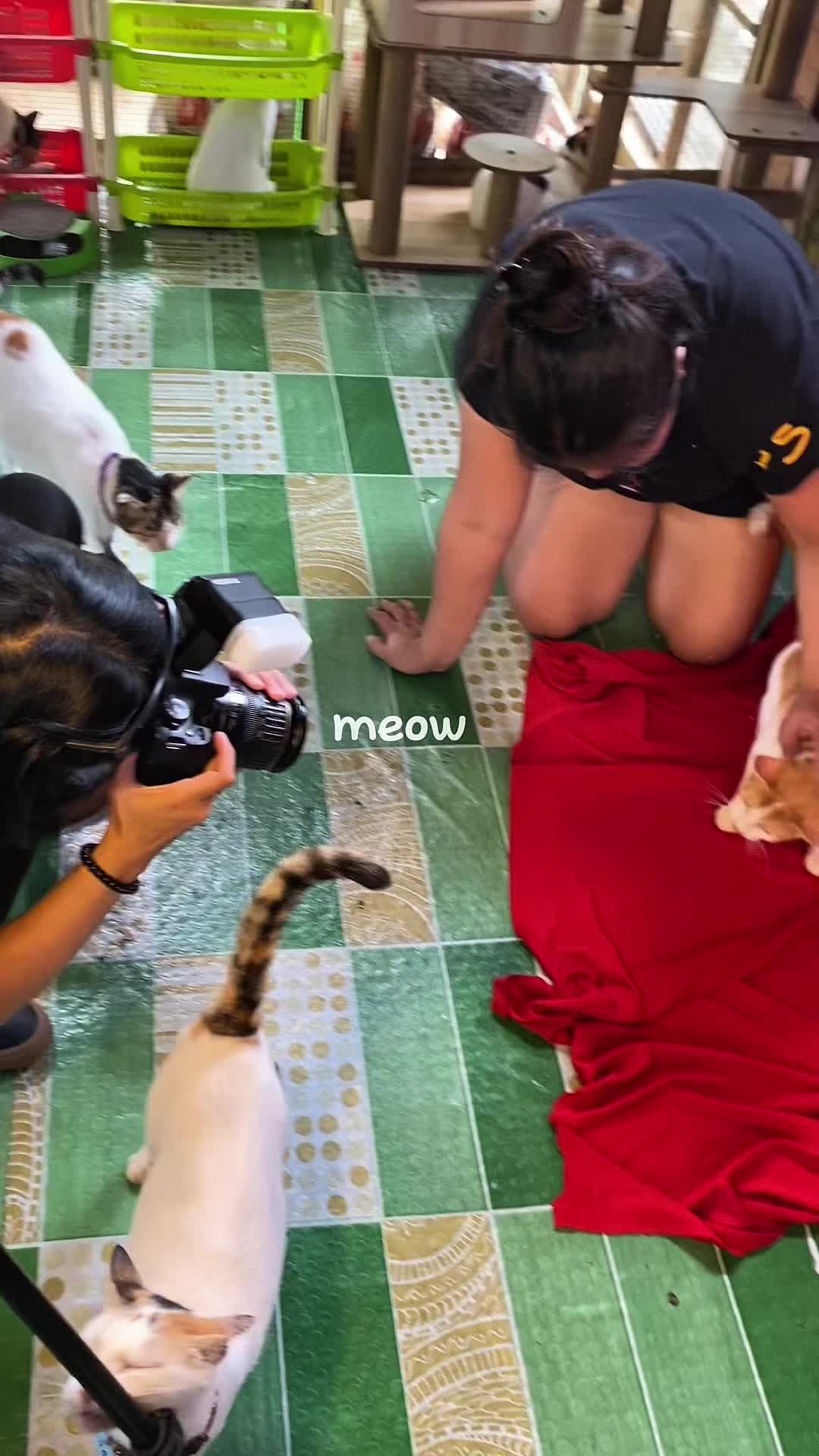 @kaicreationmedia