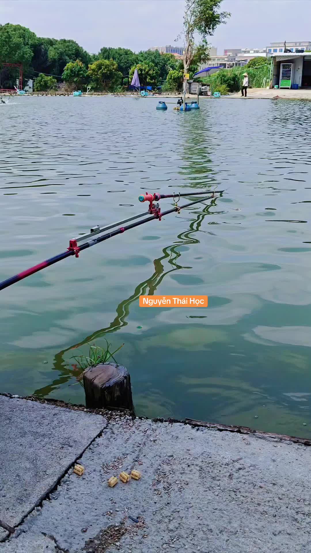 @Ngư D&acirc;n TikkTok