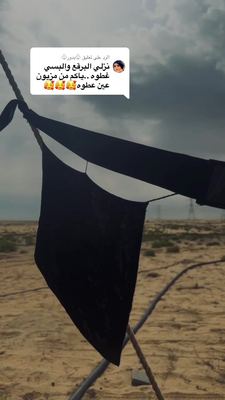 @شوق الشيباني 𓃴♡: