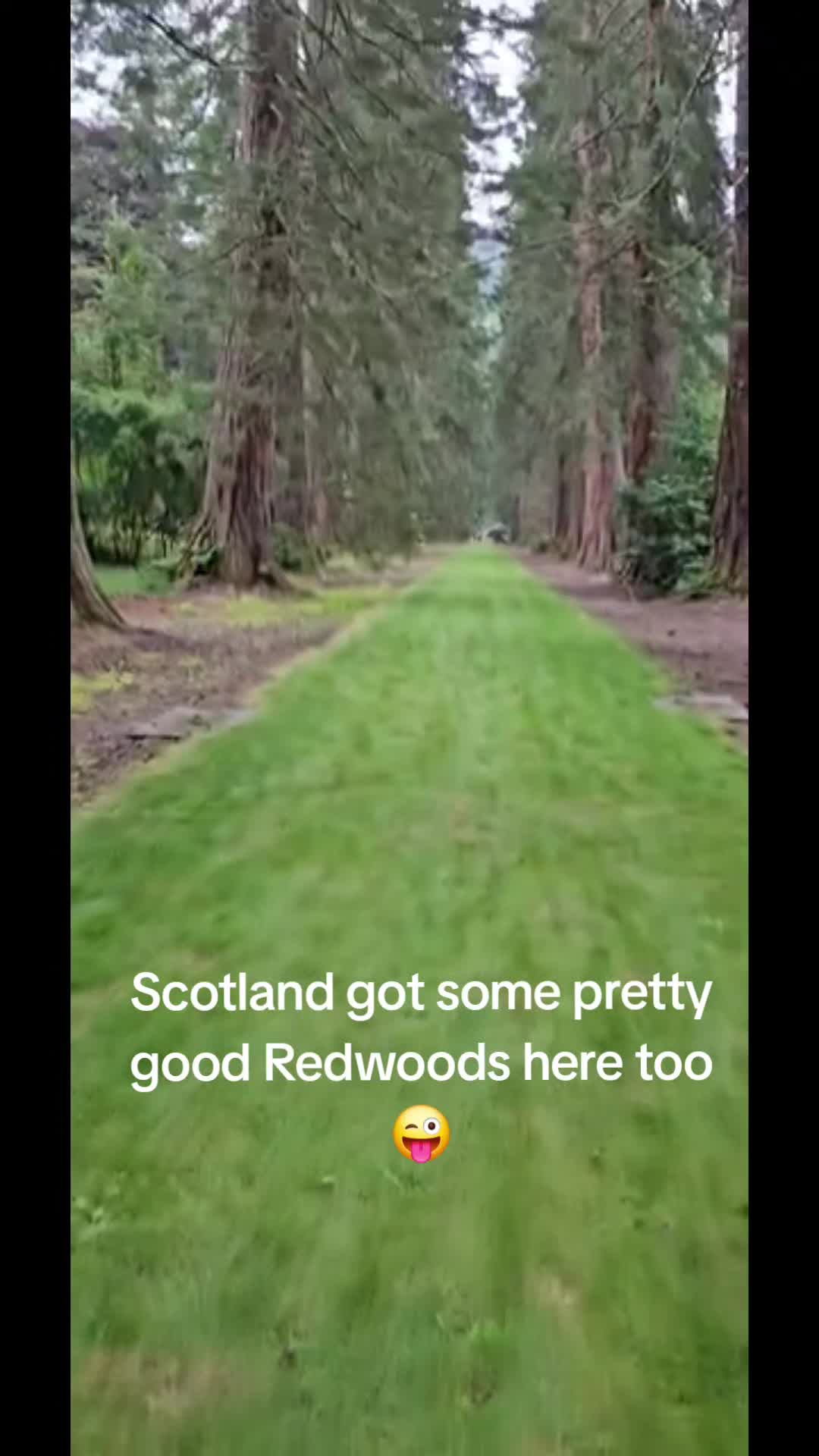 @the_swifitemum_tv