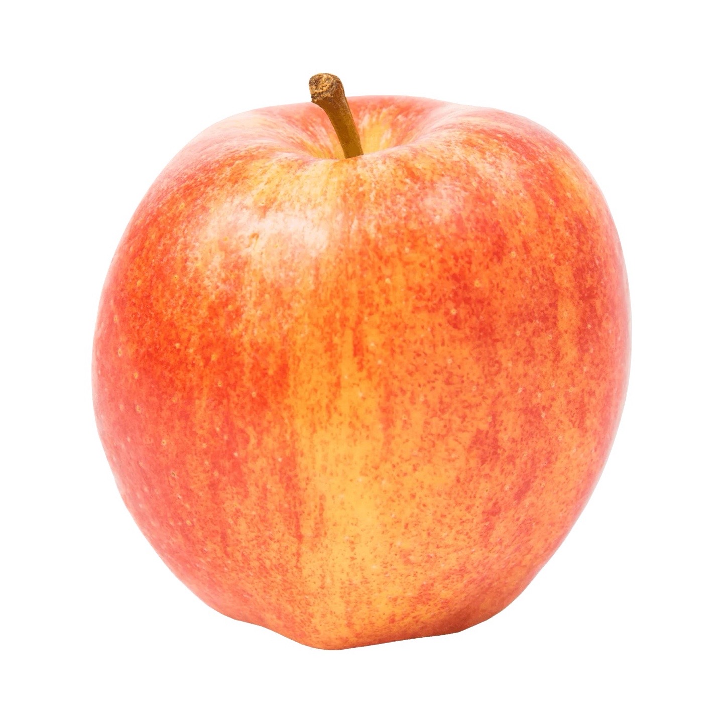 @apple for a brain