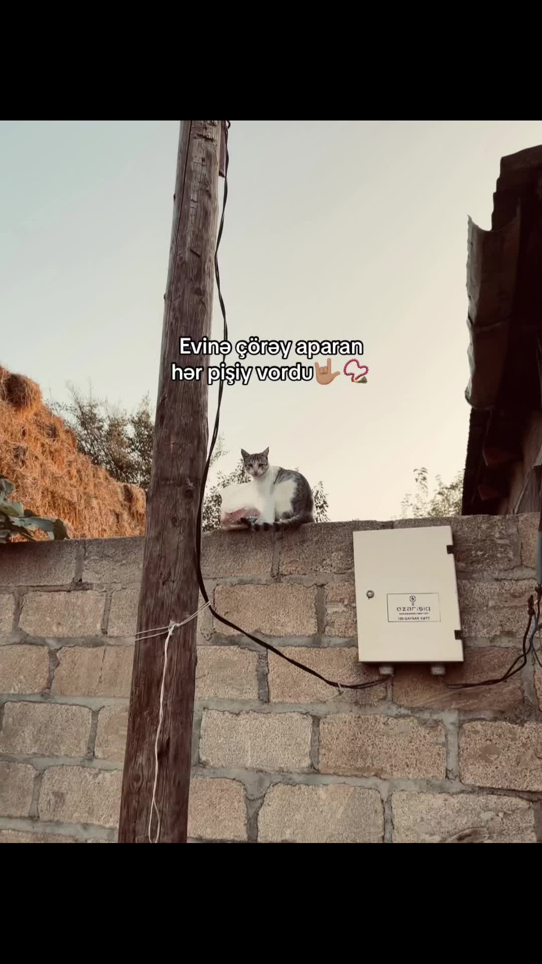 @𝟎𝟐𝟎𝑻𝑨