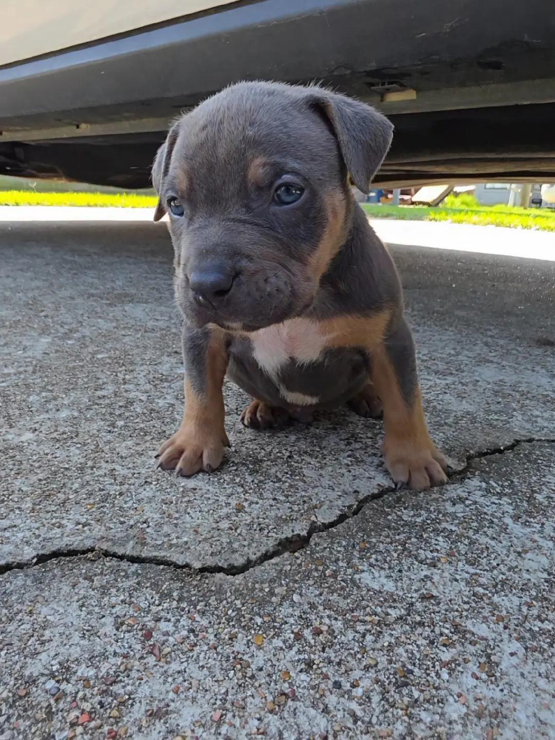 @Hera_The_Bully