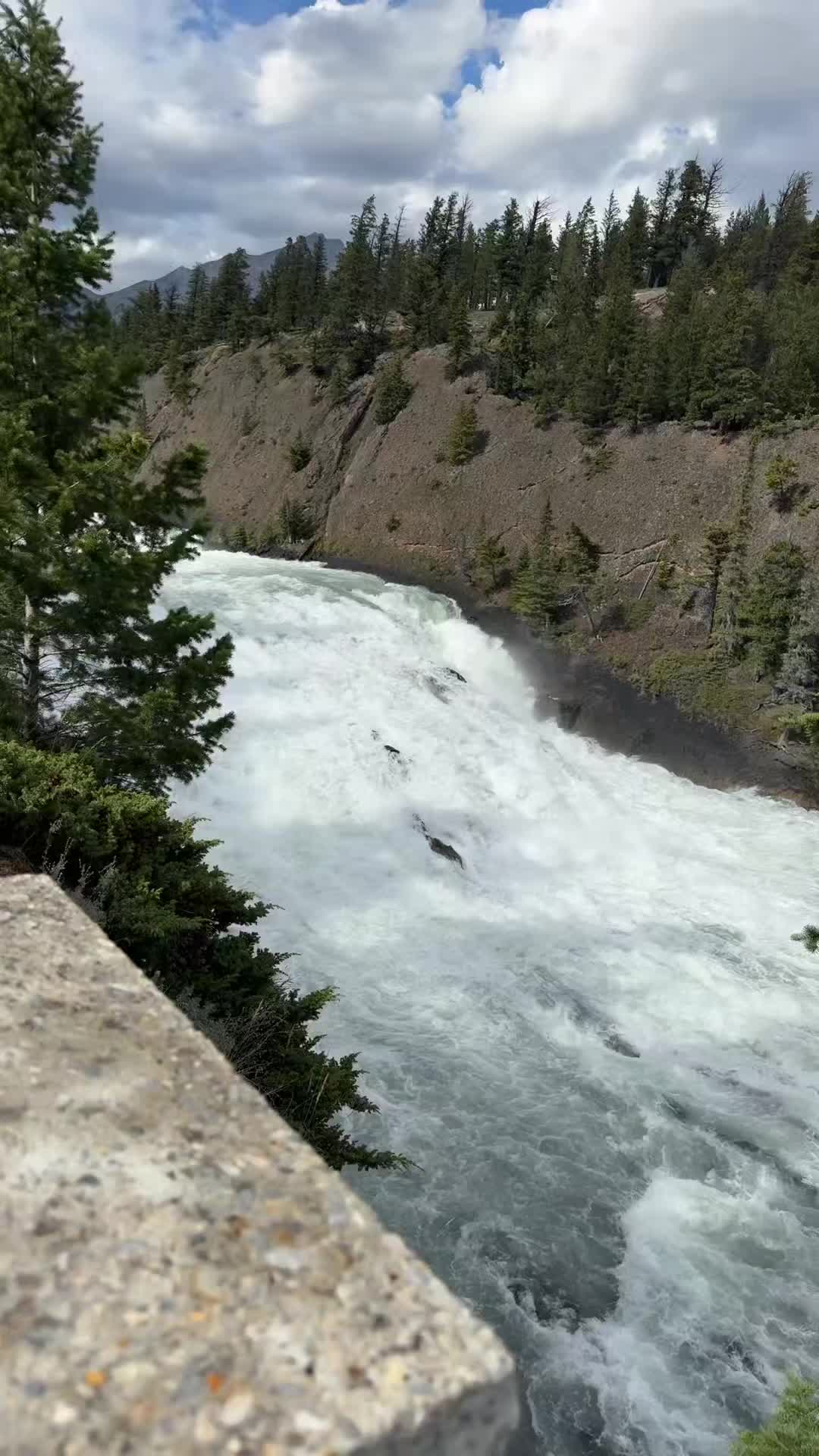 @Virgo786🇨🇦