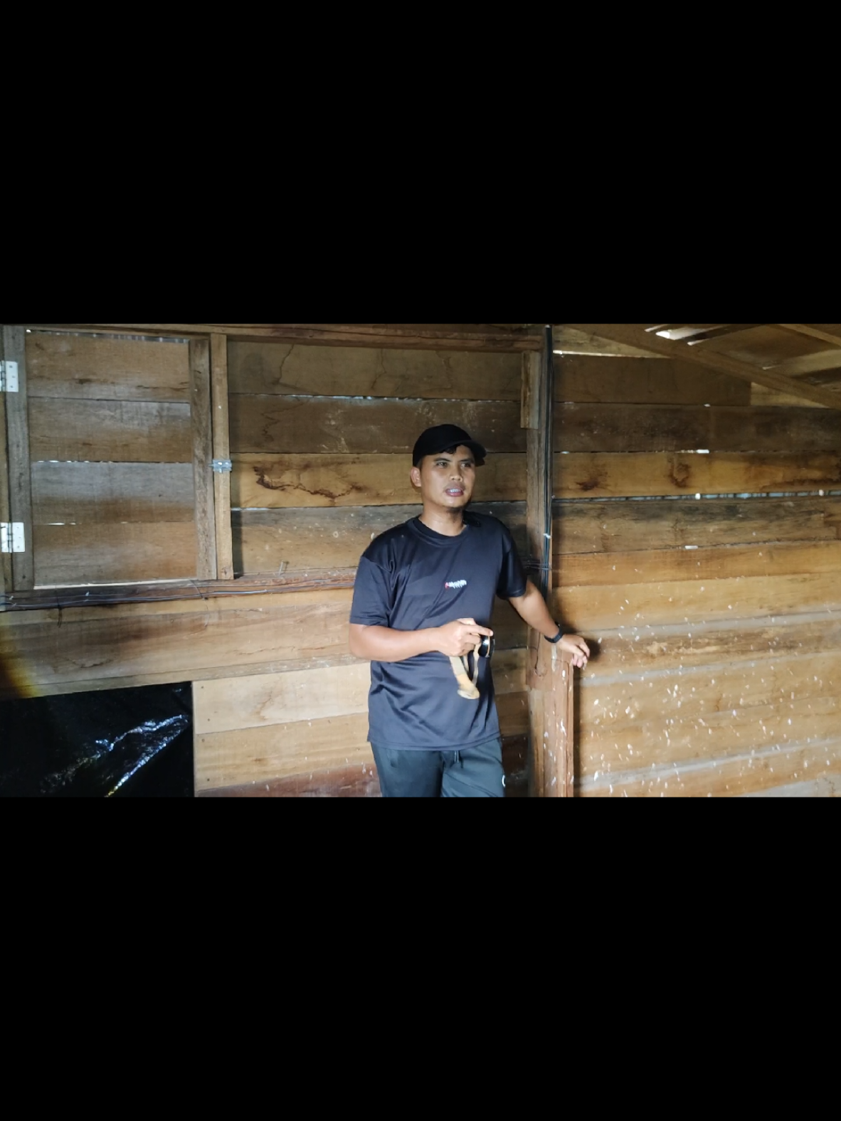 @Walet Rimba Kalimantan