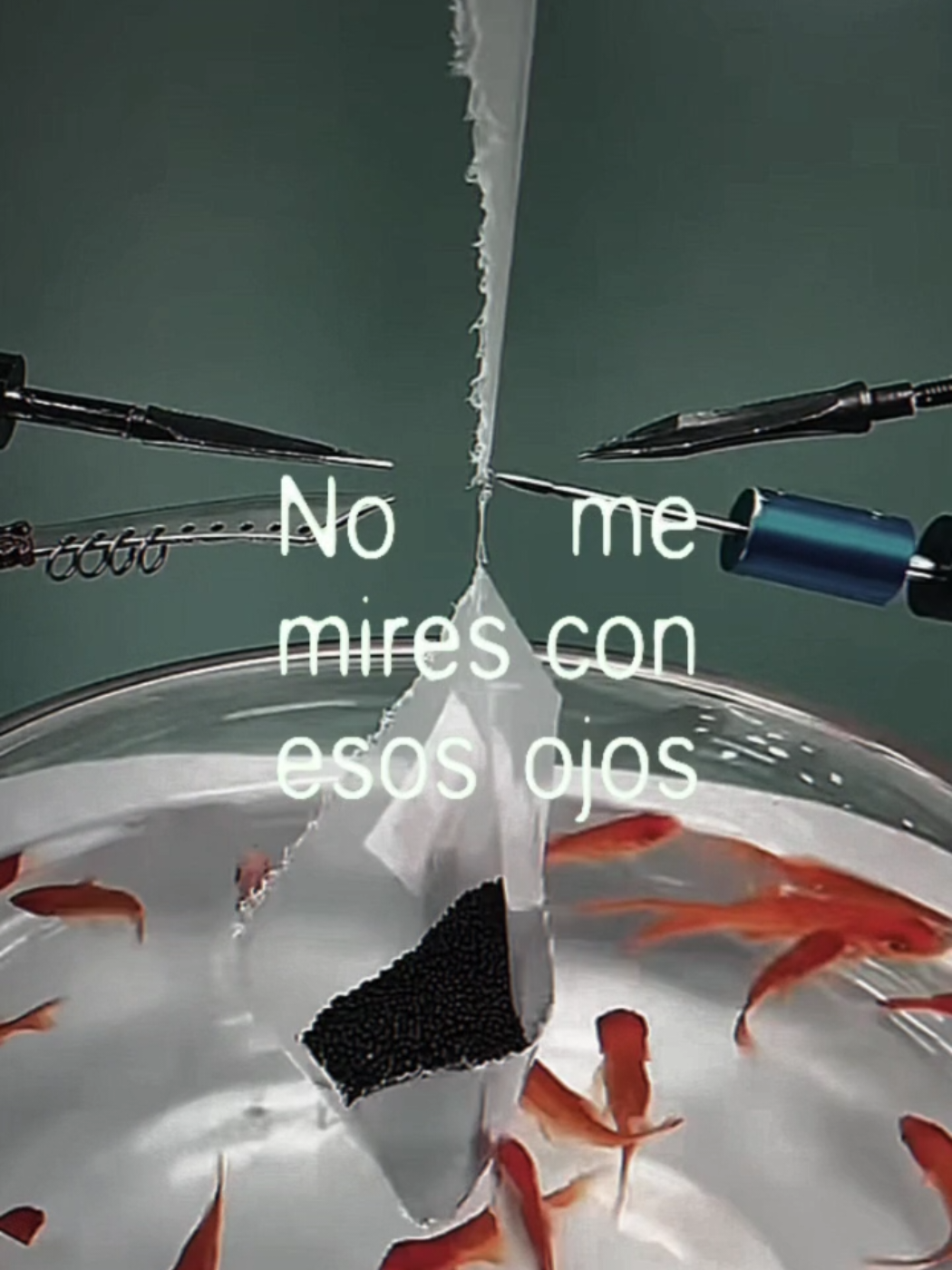 @𝕄𝕒𝕥𝕒𝕕𝕠𝕣