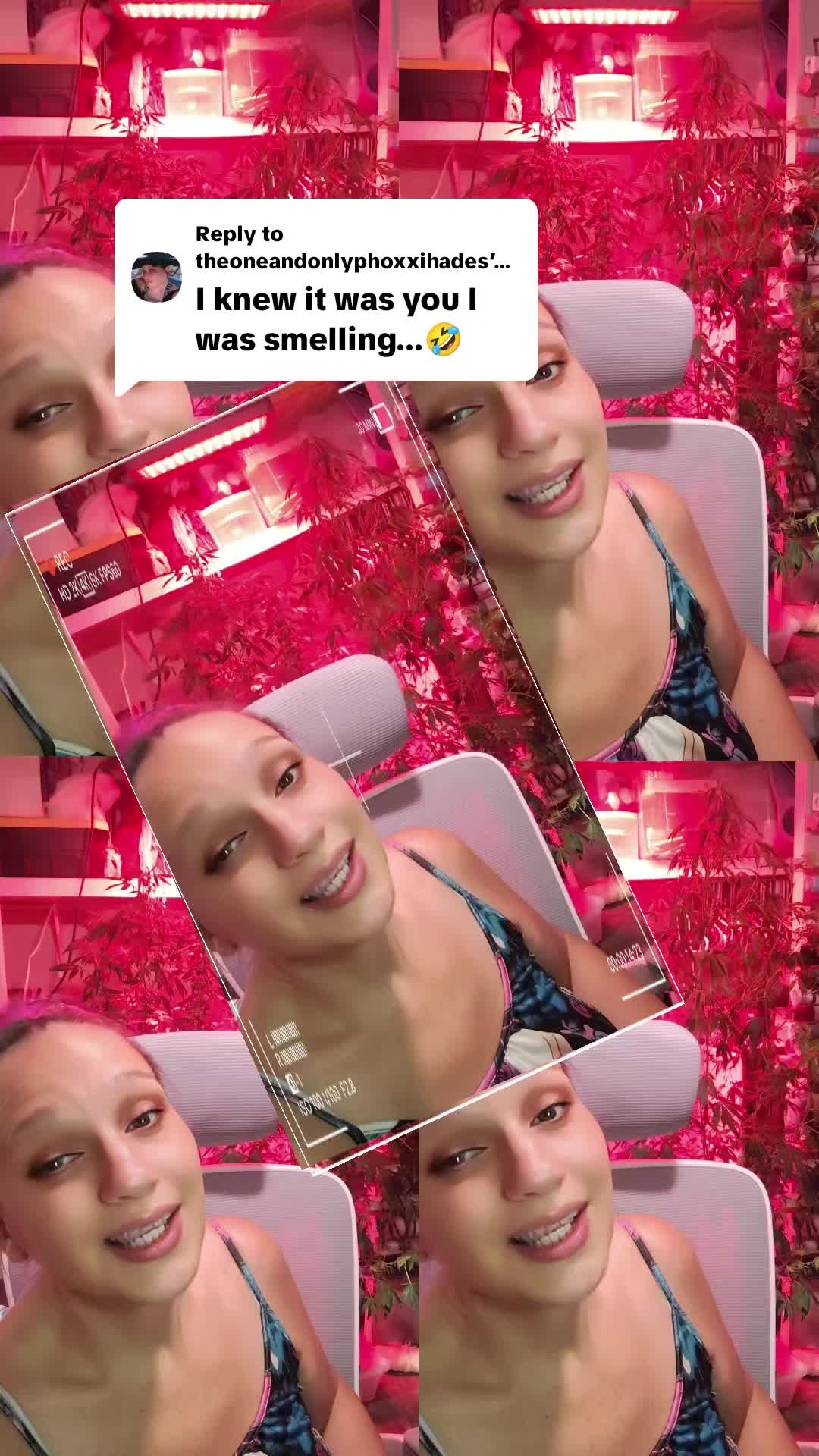 @lynnlynnblitz