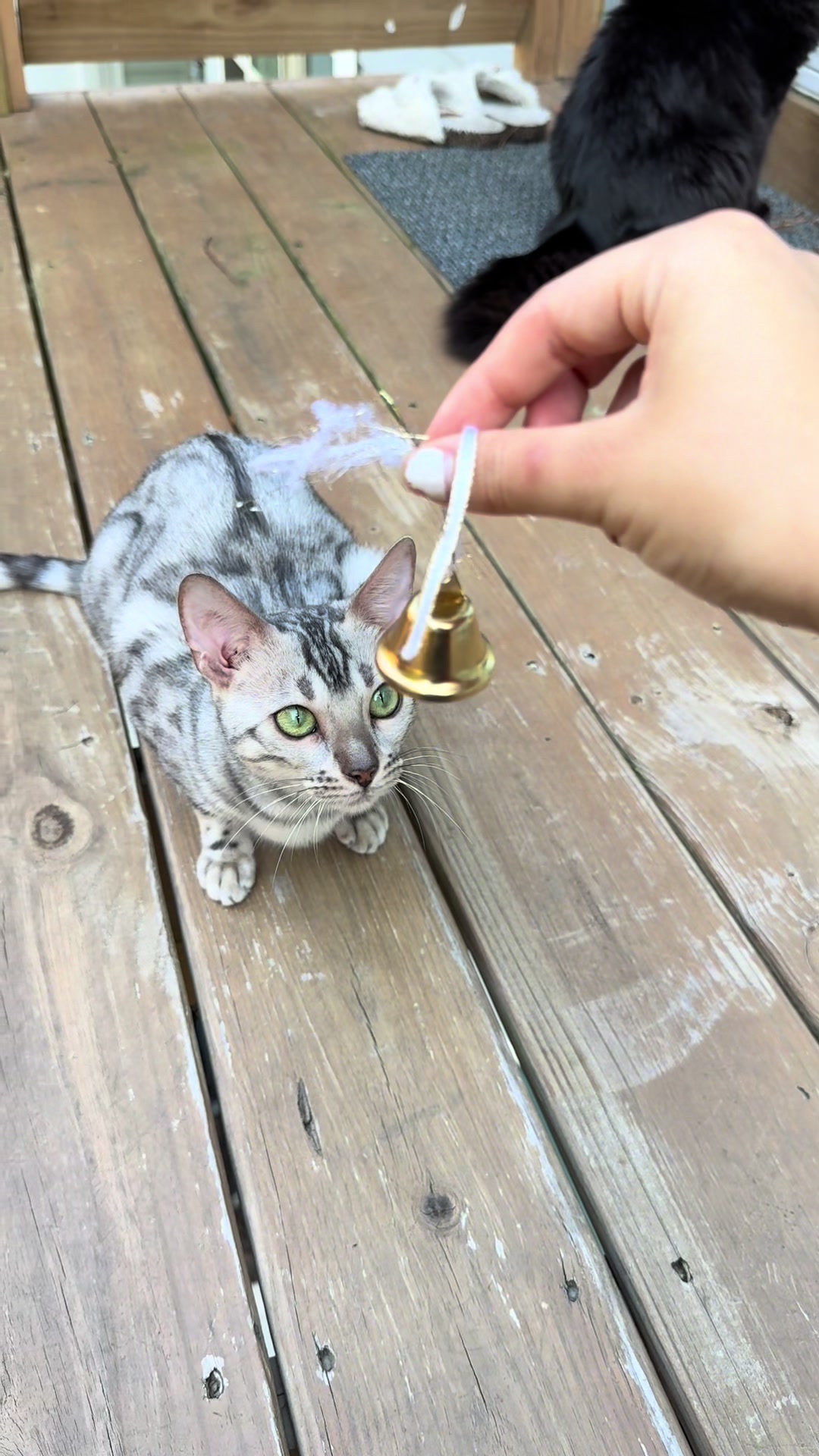 @Sagethebengal