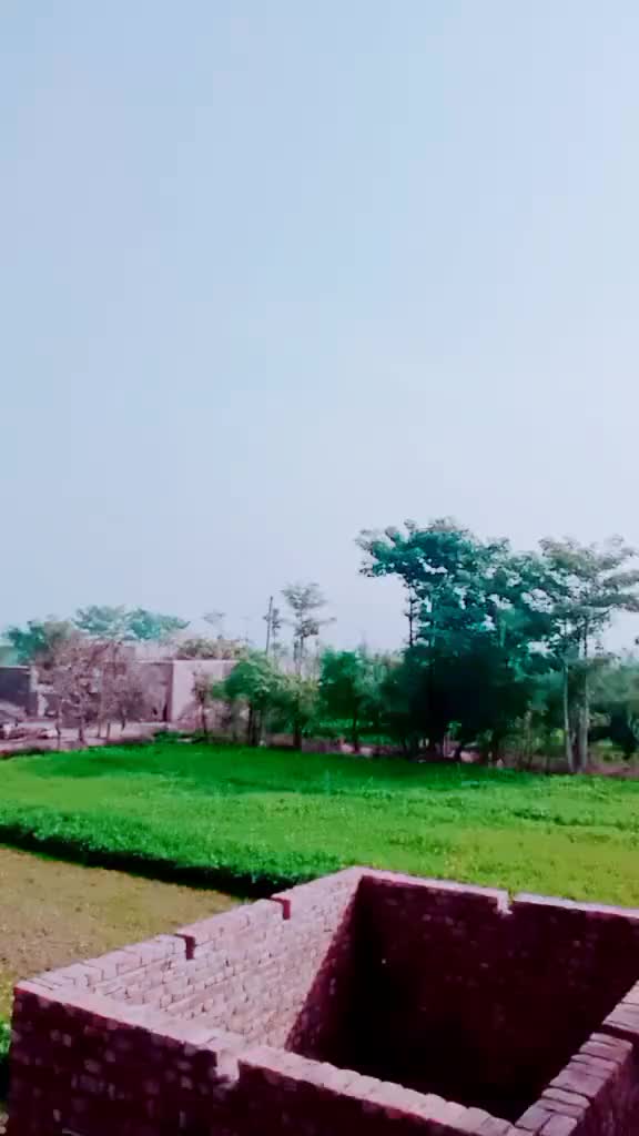 @mohsinraza