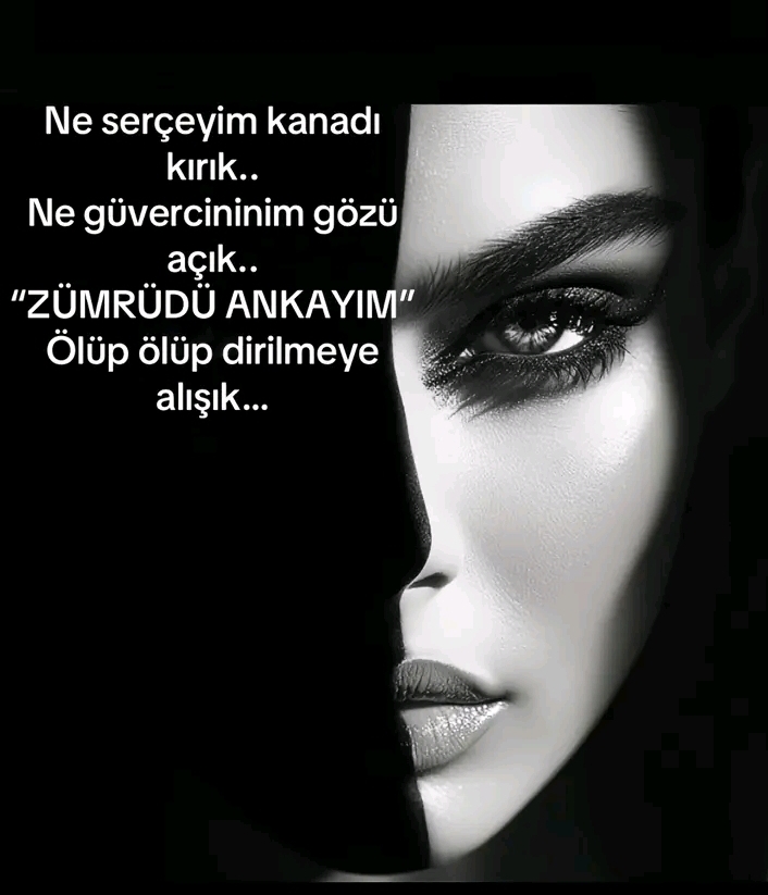 @⋆.˚🦋༘⋆ ƁЄƦ&Ccedil;ЄM⋆.˚🦋༘⋆