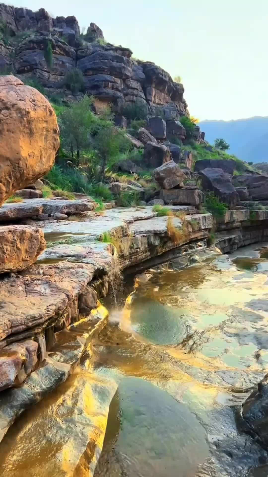 @IMTBaloch