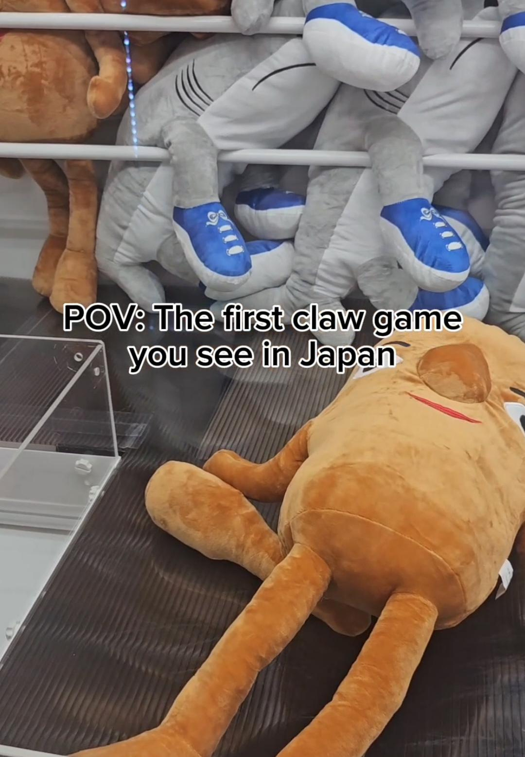 @Pip